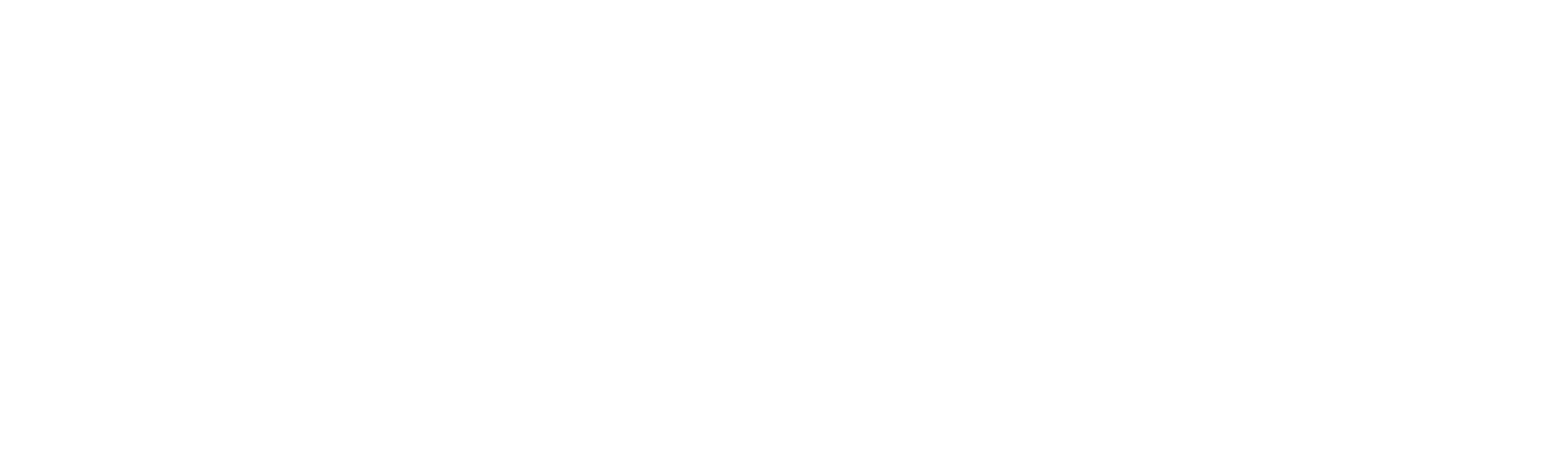 Logo in footer